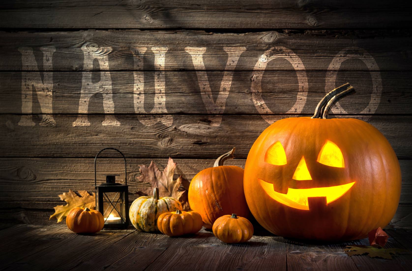 Featured image for “Nauvoo Pumpkin Walk Gets Underway in Nauvoo”