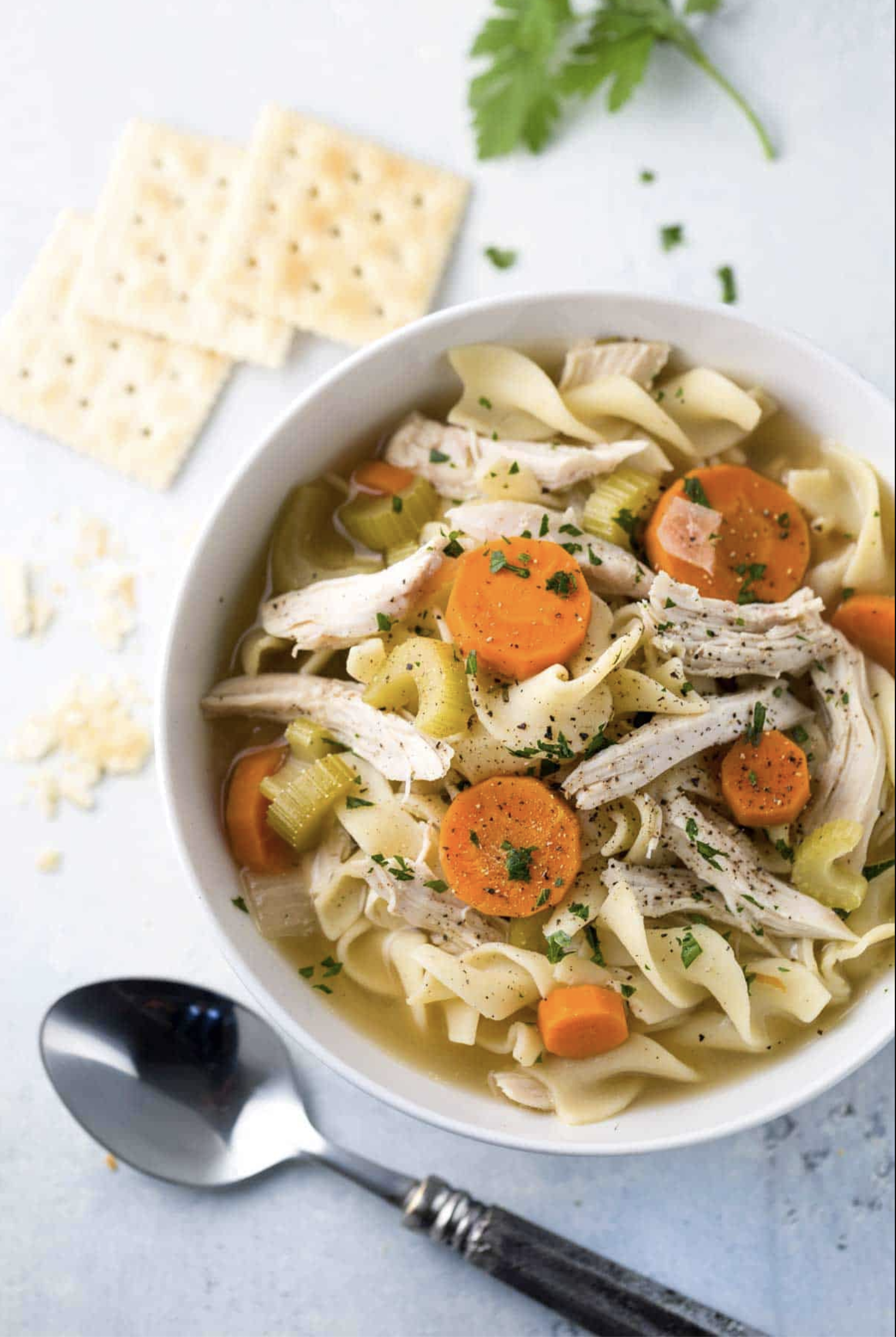 Mary Smoot's Chicken Noodle Soup - The Pioneer Plate 