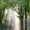 Light Descending - Joseph Smith First Vision in the Sacred Grove - Available Framed - Image 5