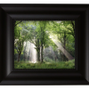 Light Descending - Joseph Smith First Vision in the Sacred Grove - Available Framed - Image 3