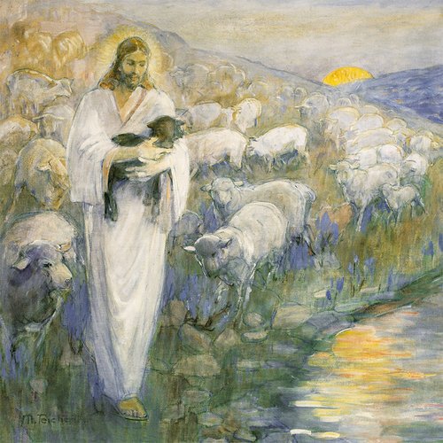 Rescue of the Lost Lamb 6"x 6" or 8"x 8" Canvas Art - Minerva Teichert